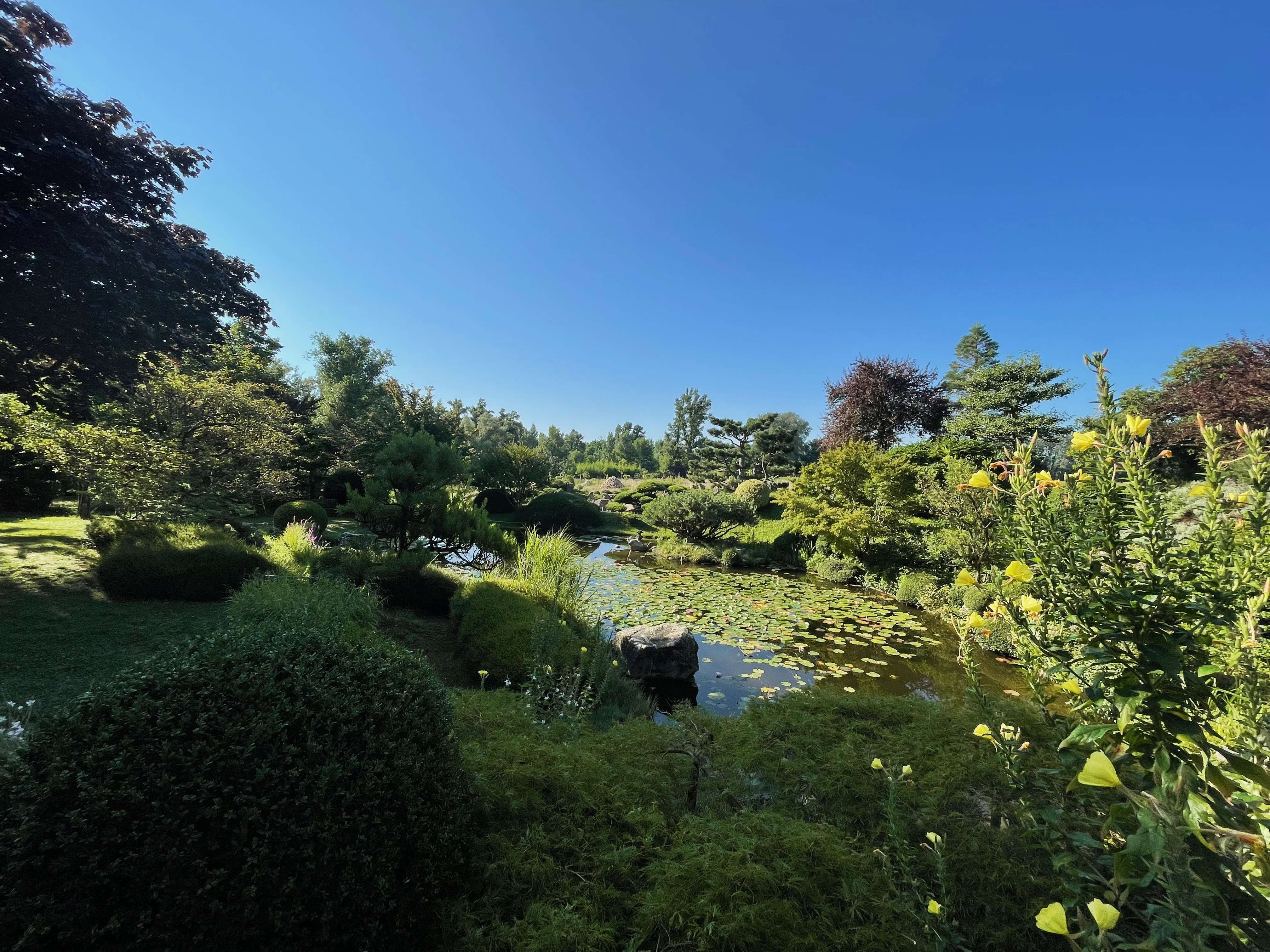 Le jardin Zen d'Erik BORJA, jardin d'artiste d'inspiration Japonais et  Méditerrannéen
